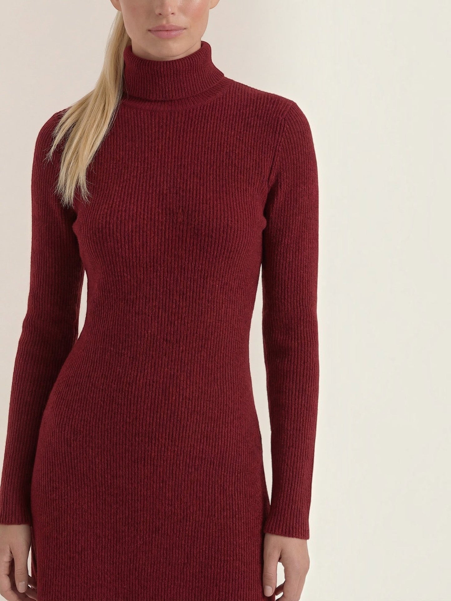 Women's Knit Mini Dress with Roll Neck and Long Sleeves