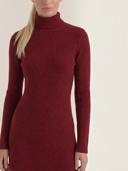 Women's Knit Mini Dress with Roll Neck and Long Sleeves