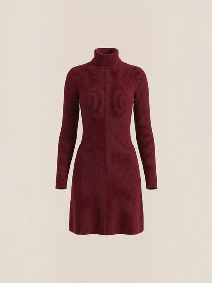 Women's Knit Mini Dress with Roll Neck and Long Sleeves